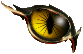 Cat's Eye