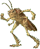 chr_hopper.gif (4170 bytes)